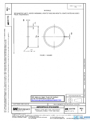 SAE AS1736C PDF
