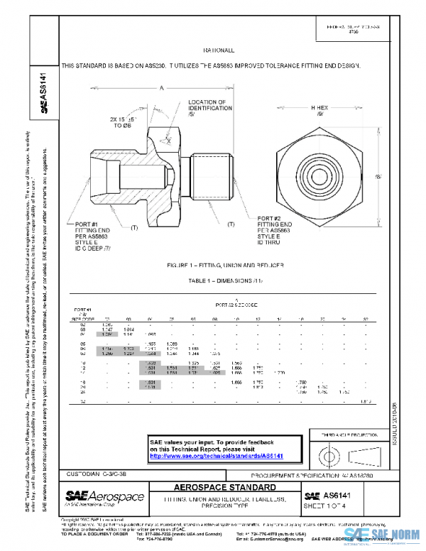 SAE AS6141 PDF