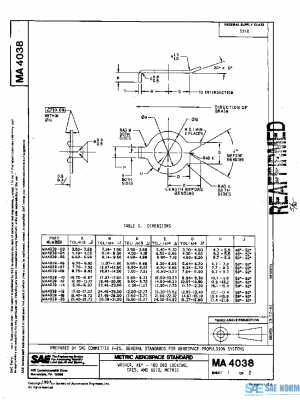 SAE MA4038 PDF