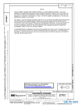 SAE AS7928/7 PDF