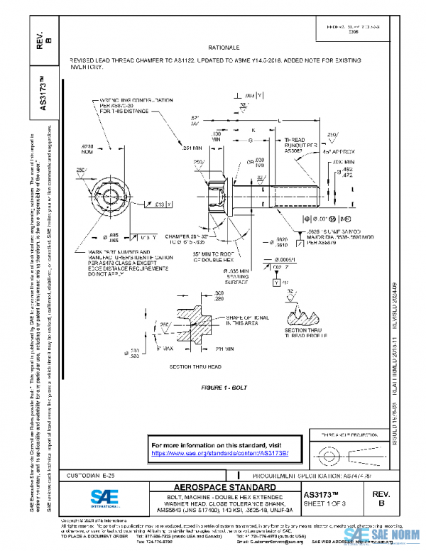 SAE AS3173B PDF SAE AS3173B PDF