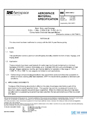 SAE AMS6487J PDF