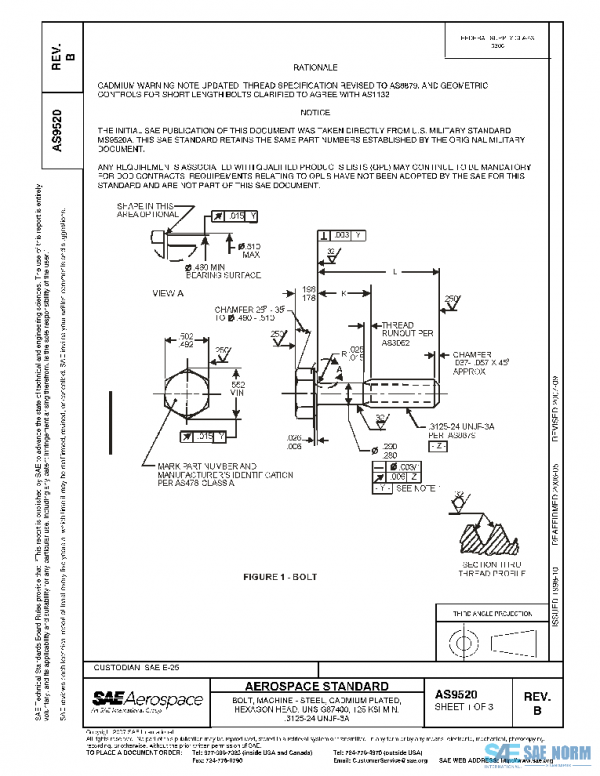 SAE AS9520B PDF