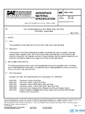 SAE AMS7707B PDF