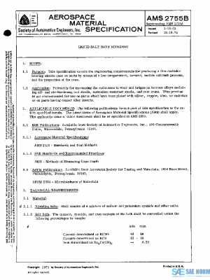 SAE AMS2755B PDF