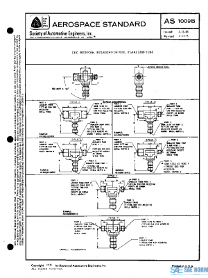 SAE AS1009B PDF