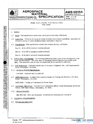 SAE AMS3816A PDF