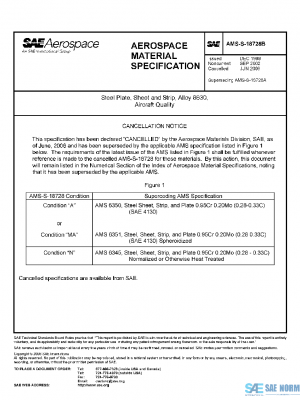 SAE AMSS18728B PDF