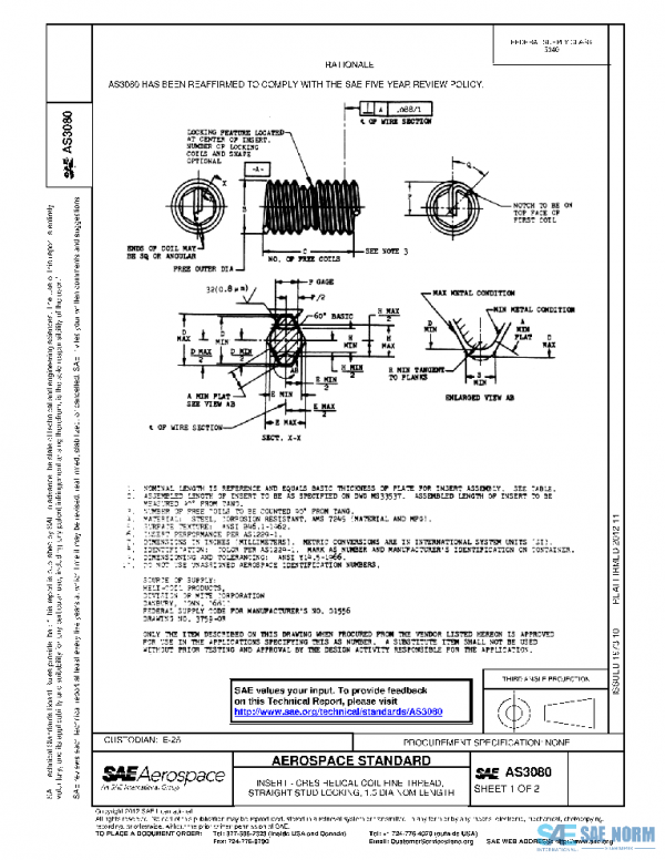 SAE AS3080 PDF