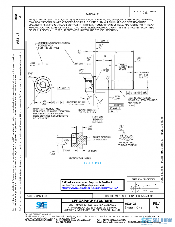 SAE AS3173A PDF