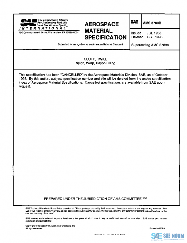 SAE AMS3789B PDF