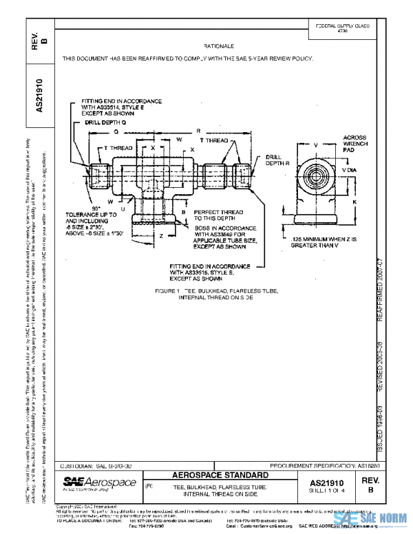 SAE AS21910B PDF