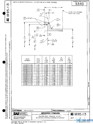 SAE AS1895/13 PDF SAE AS1895/13 PDF