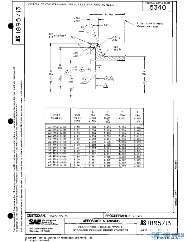 SAE AS1895/13 PDF SAE AS1895/13 PDF