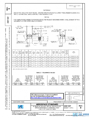 SAE AS21447B PDF