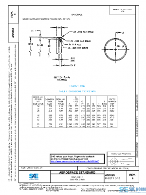 SAE AS1893E PDF