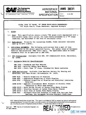 SAE AMS3831 PDF