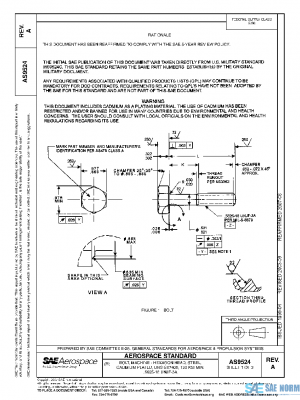 SAE AS9524A PDF