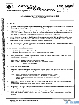 SAE AMS2491B PDF