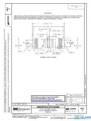 SAE AS5969C PDF