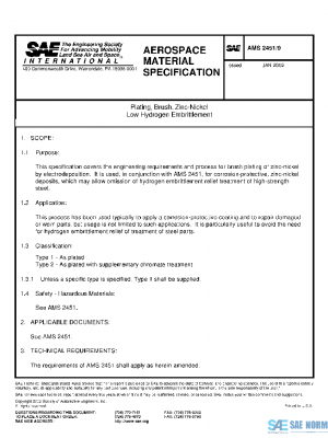 SAE AMS2451/9 PDF