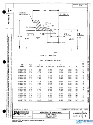 SAE AS1895/3B PDF
