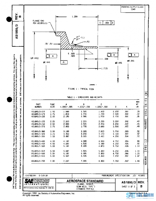 SAE AS1895/3B PDF