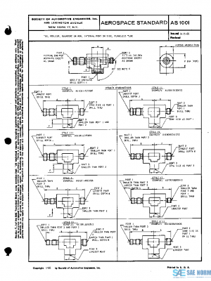 SAE AS1001 PDF