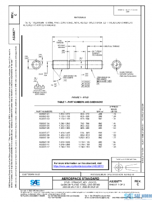 SAE AS3087C PDF