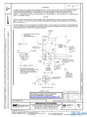 SAE AS91111B PDF
