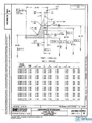 SAE AS1895/12B PDF