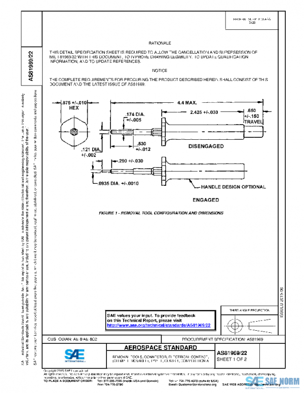 SAE AS81969/22 PDF