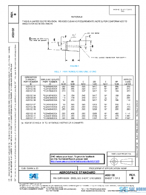 SAE AS3132B PDF