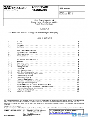 SAE AS4787 PDF