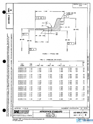 SAE AS1895/2B PDF