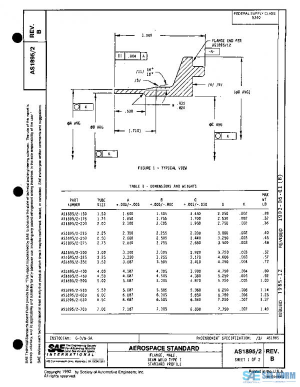 SAE AS1895/2B PDF