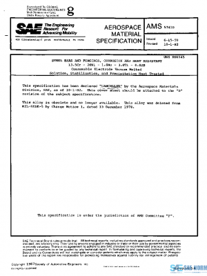 SAE AMS5741D PDF