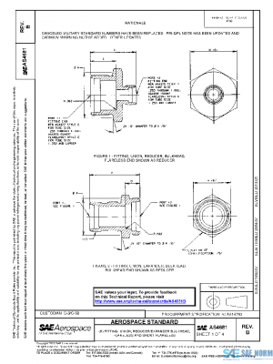 SAE AS4681B PDF