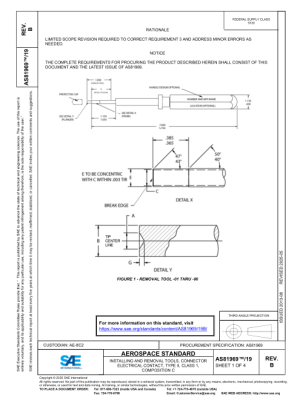 SAE AS81969-19B PDF 2025